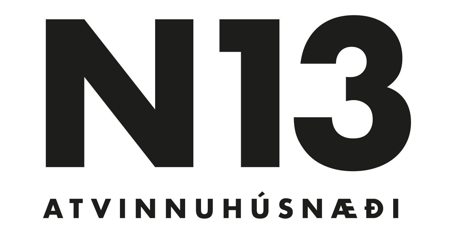 n13.is